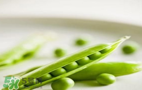 四季豆炒腊肉的做法窍门,四季豆炒腊肉的做法 四季豆炒腊肉的做法窍门,四季豆炒腊肉的做法