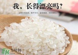 大米可以做什么美食,大米可以做什么食物图片 大米可以做什么美食,大米可以做什么食物图片