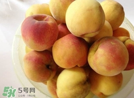 黄桃不能和什么一起吃?,黄桃不能和什么一起吃会食物中毒 黄桃不能和什么一起吃?,黄桃不能和什么一起吃会食物中毒