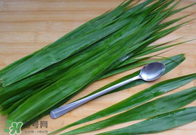 粽叶和芦苇叶的区别,粽叶和芦苇叶的区别图片