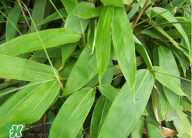 长期保存和短期保存,食物的保存方法