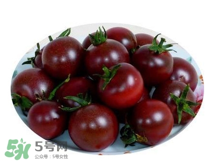 黑番茄种植技术,黑番茄种植技术8个层次