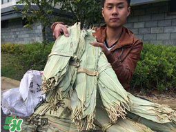 粽叶为什么要煮一煮,粽叶为什么要煮一下