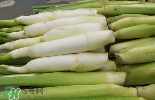 茭白是高笋吗?怎么做好吃?,茭白是高笋吗 茭白是高笋吗?怎么做好吃?,茭白是高笋吗