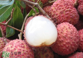 吃荔枝酒驾是真的吗,荔枝吃多了会不会有酒驾 吃荔枝酒驾是真的吗,荔枝吃多了会不会有酒驾