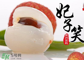 荔枝和妃子笑的区别,荔枝为什么叫妃子笑