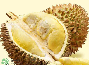 金枕头榴莲没熟怎么办,金枕头榴莲没开口怎么知道熟没熟