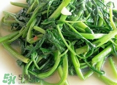 空心菜的功效作用,空心菜的功效作用和禁忌