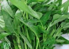 空心菜怎么采摘还会再长,空心菜怎么采摘最好