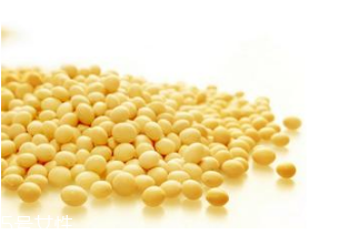 孕妇能吃黄豆吗 初期,孕妇能吃黄豆吗?