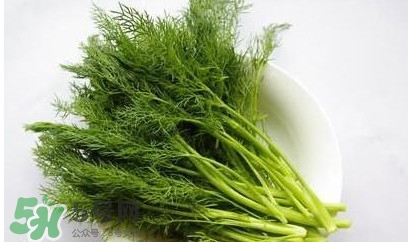 茴香菜怎么炒好吃,如何炒茴香菜