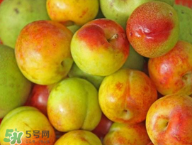 李子怎么吃不酸 五种做法让李子甜到心底里,李子怎么吃不酸牙