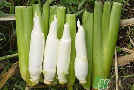 茭白要去皮吗?,茭白要不要去皮