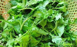 菊花脑怎么做好吃,菊花脑的做法