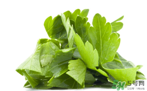 菊花脑的功效和作用及食用方法,菊花脑的功效和作用是什么 菊花脑的功效和作用及食用方法,菊花脑的功效和作用是什么