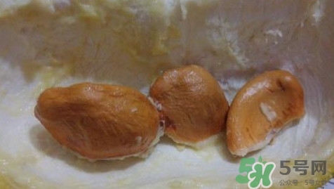 榴莲核怎么种盆栽视频,榴莲核怎么种盆栽图片