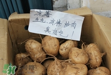 凉薯怎么炒好吃又简单,凉薯怎么炒好吃 凉薯怎么炒好吃又简单,凉薯怎么炒好吃