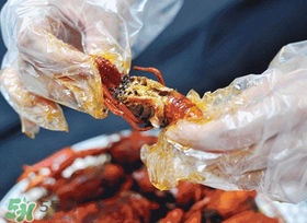 周黑鸭生产基地,周黑鸭技术流程