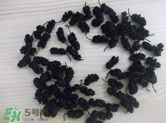 桑葚干怎么吃效果最好,桑葚干怎么吃补肾效果最好 桑葚干怎么吃效果最好,桑葚干怎么吃补肾效果最好