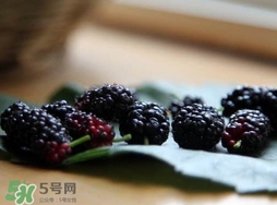 桑葚干怎样吃最好,桑葚干怎么吃补肾效果最好