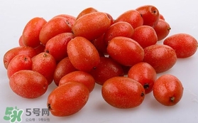 羊奶果的皮可以吃吗,羊奶皮子怎么吃 羊奶果的皮可以吃吗,羊奶皮子怎么吃