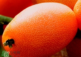 常见平性水果有哪些,哪些是平性水果