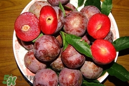 三华李吃多了会怎样?