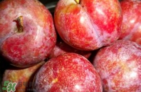 三华李的功效和作用,三华李有什么作用功效