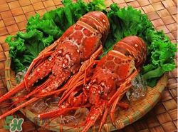 钓龙虾的饵料,钓龙虾的饵料多久换一次