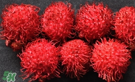 红毛丹什么季节有,红毛丹什么季节有红毛丹什么时候上市