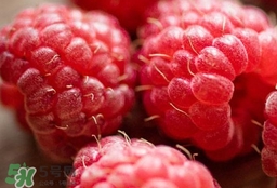 覆盆子怎样吃壮阳,覆盆子如何吃,有什么作用?