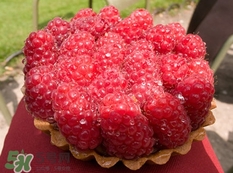 覆盆子和树莓的区别,覆盆子和树莓 红莓有什么区别吗 覆盆子和树莓的区别,覆盆子和树莓 红莓有什么区别吗