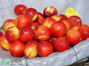 油桃怎么洗干净?,桃油怎样洗才能洗干净?