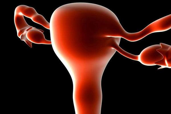 什么样的人做试管,哪些人适合做试管婴儿 什么样的人做试管,哪些人适合做试管婴儿