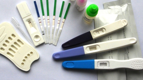 怀孕多久能测出来明显的两道线,怀孕多久能测出来验孕棒