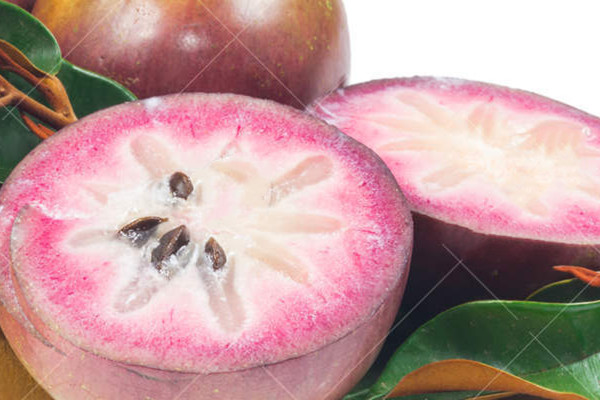 金星果的价值(金星果的功效和作用)