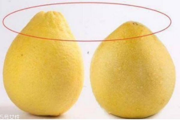 买柚子怎么挑选(买柚子怎么挑选)