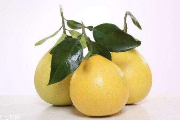 红心柚or白心柚(红心柚和白心柚) 红心柚or白心柚(红心柚和白心柚)