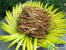 坐月子能吃黄花菜吗,产妇可以吃黄花菜吗?怎么做最好