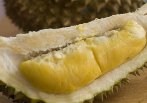 产妇怎么吃榴莲,月子里产妇怎么吃榴莲 产妇怎么吃榴莲,月子里产妇怎么吃榴莲