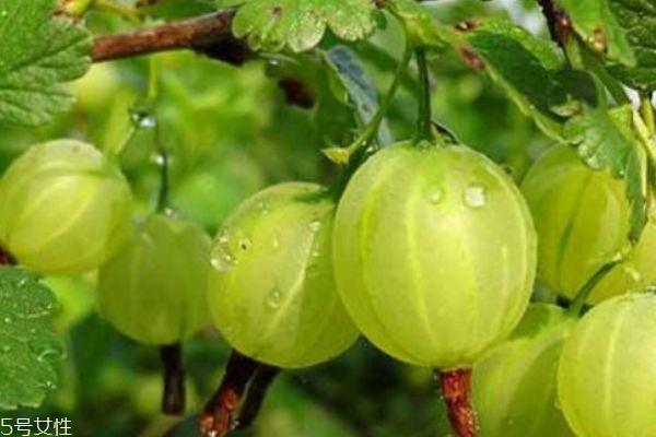 婴儿哭闹不止怎么办(小婴儿哭闹不止怎么办)