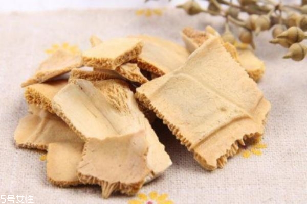 龟甲生长子什么环境里呢(龟甲草适合什么样的环境)