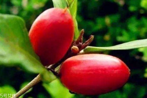 过敏性鼻炎有哪些症状(过敏性鼻炎有哪些症状表现)