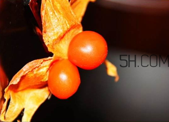 红姑娘宝宝一天吃几个(红姑娘一天吃几个合适)