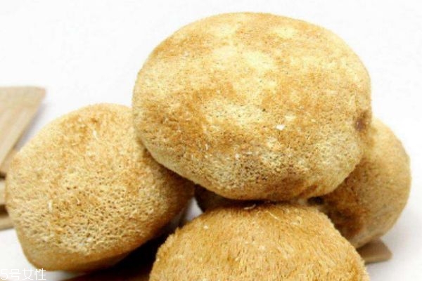 孕妇可以吃猴头菇吗(孕妇可以吃猴头菇吗?)