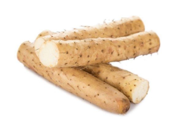 山药生长在什么环境里呢(山药生长在什么环境和条件下)