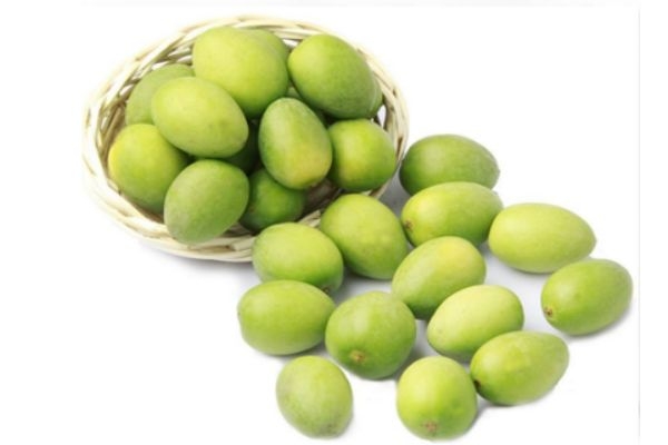 青果生长在什么环境里呢(青果的种植条件)