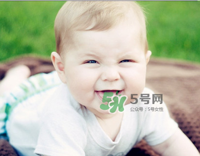 儿童手指儿歌,婴儿手指歌