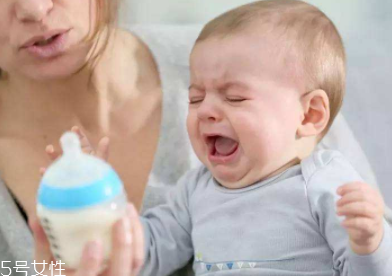 宝宝吃奶酪好吗,喝奶酪还是吃奶酪