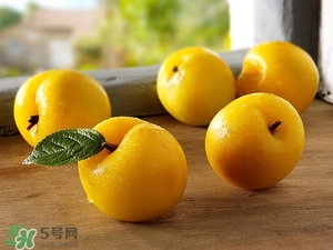 孕妇能吃李子不?,孕初期可以吃李子不 孕妇能吃李子不?,孕初期可以吃李子不